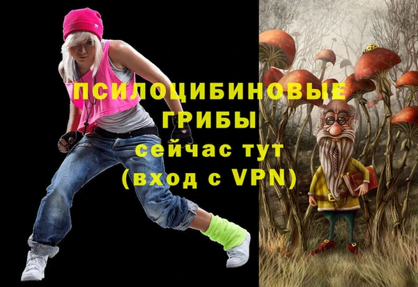 метамфетамин Белокуриха