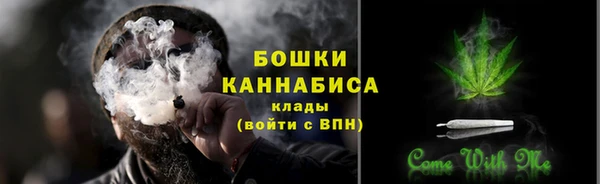 ПСИЛОЦИБИНОВЫЕ ГРИБЫ Слюдянка